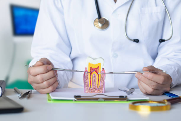 Best Pediatric Emergency Dentist in Fox River Grove, IL